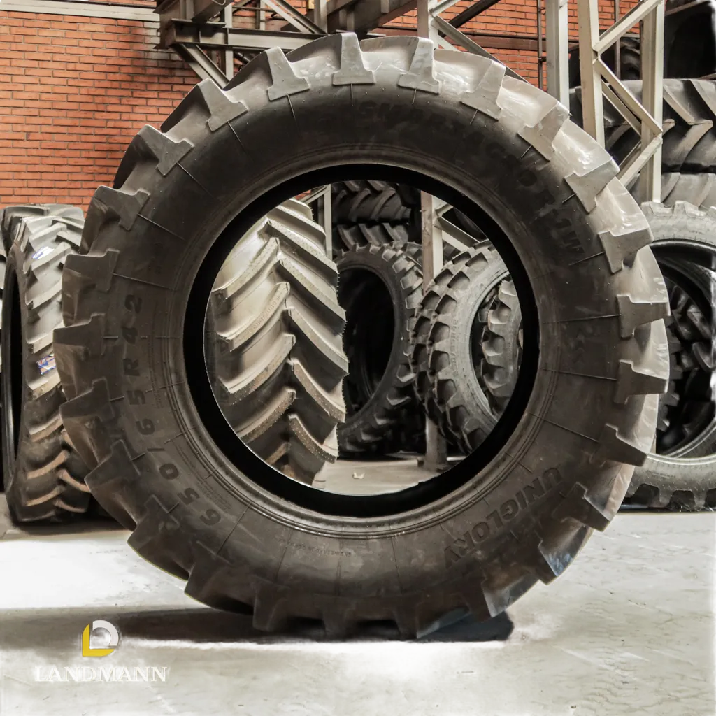 Шина 650/65R42 158D/161A8 SMARTAGRO TL R-1W (Uniglory)